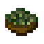 Steamed Broccoli