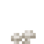 Button Mushroom