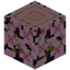 Flowering Cherry Log