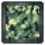 Camouflage Module