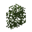 Redwood Hedge