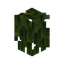 Mangrove Hedge