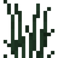 Tall Grass