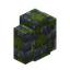 Mossy Blue Brick Wall