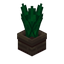 Aloe Vera Wooden Pot