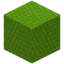 Scaled Lime Wool