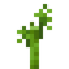 Bamboo Sapling