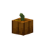 Small Pumpkin