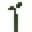 Great Sallow Sapling