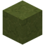 Decorated Lime Terracotta