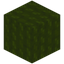 Soft Green Wool
