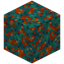 Erratic Warped Wart Block