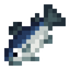 Mackerel