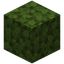 Green Tea Leaf Block
