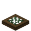 Vined Spruce Trapdoor