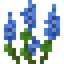 Small Blue Lupine