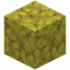 Horn Coral Block