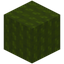 Soft Green Wool