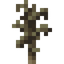 Dead Pine Sapling