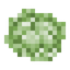 Cabbage