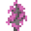 Pink Ipe Sapling
