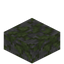 Mossy Stone Slab