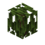 Mangrove Leaf Hedge