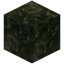 Citron Wood