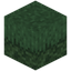 Earthslime Grass