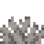 Dead Bubble Coral Fan