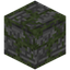Blank Mossy Cobblestone Carving