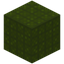 Tiled Green Wool