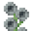 Tall Mystical Light Gray Flower