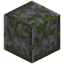 Polished Mossy Cobblestone