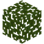Logwood Leaves