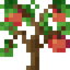 Peach Sapling