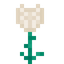 Pearl Glowrose