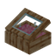 Pink Pine Display Case