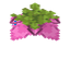 Spore Blossom