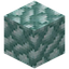 Block of Raw Demonite