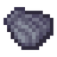 Clam