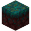 Warped Nylium