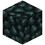 Primal Coal Block