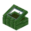 Green Green Bioshroom Display Case