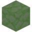 Glowing Green Bioshroom Block