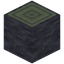 Echo Log