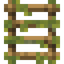 Mossy Ladder