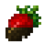 Chocolate Strawberry