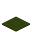 Cornered Green Carpet
