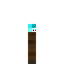Stripped Dark Oak Log Soul Torch